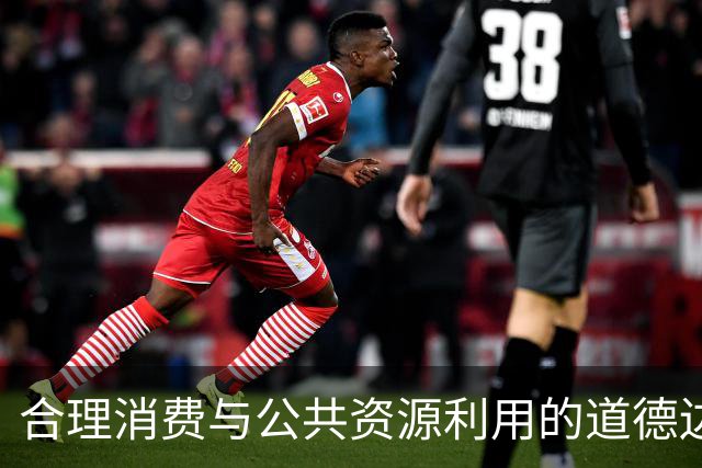 合理消费与公共资源利用的道德边界探讨