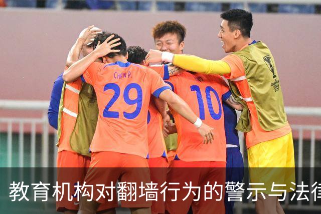 教育机构对翻墙行为的警示与法律后果分析
